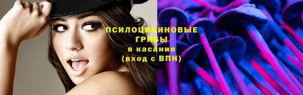 скорость Алзамай