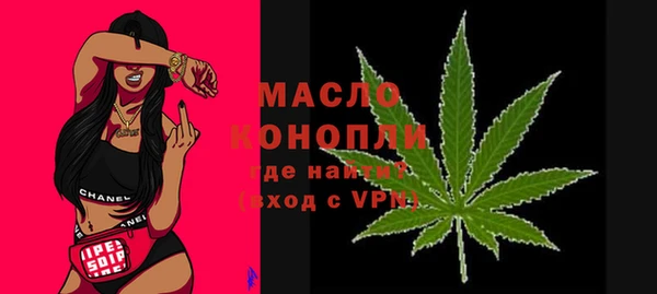 дмт Новодвинск