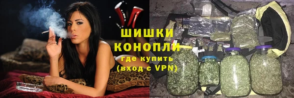 амф Новозыбков
