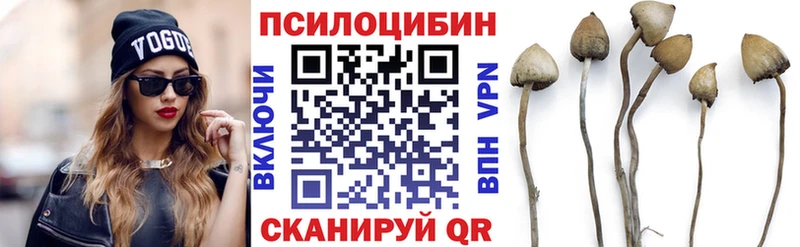 ссылка на мегу вход  Петушки  Галлюциногенные грибы Magic Shrooms 