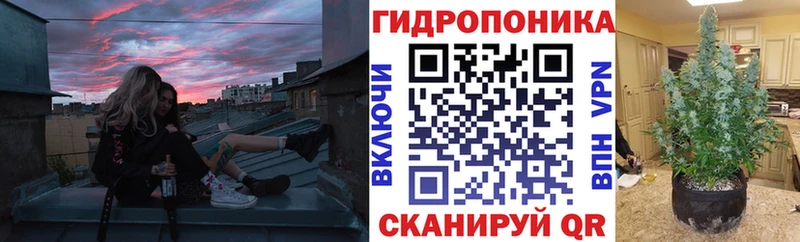 KRAKEN ТОР  Петушки  Каннабис марихуана 